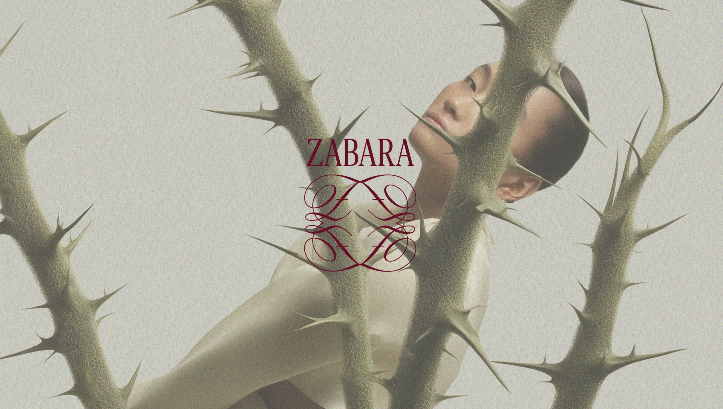 Zabara